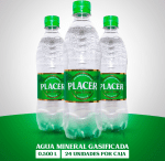 AGUA MINERAL GASIFICADA PLACER SPARKLING